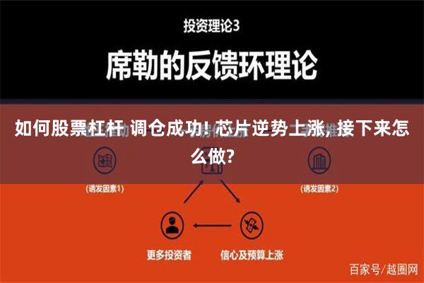 如何股票杠杆 调仓成功! 芯片逆势上涨, 接下来怎么做?