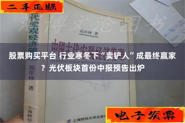 股票购买平台 行业寒冬下“卖铲人”成最终赢家？光伏板块首份中报预告出炉