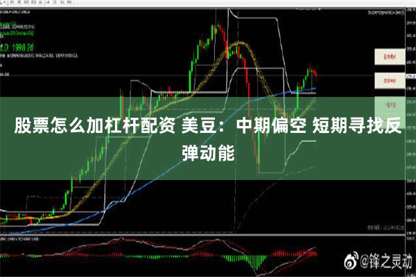 股票怎么加杠杆配资 美豆：中期偏空 短期寻找反弹动能