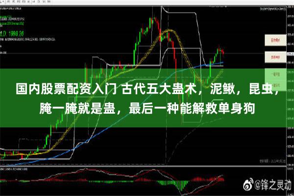 国内股票配资入门 古代五大蛊术，泥鳅，昆虫，腌一腌就是蛊，最后一种能解救单身狗