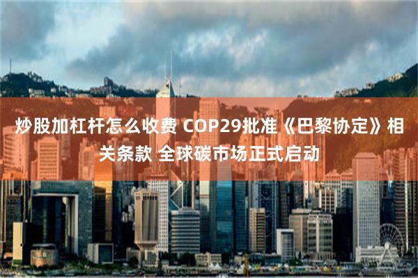 炒股加杠杆怎么收费 COP29批准《巴黎协定》相关条款 全球碳市场正式启动