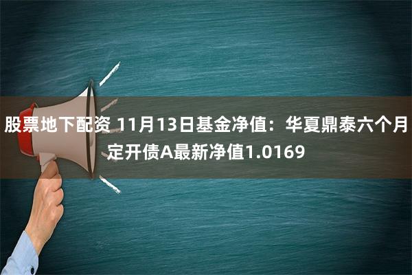 股票地下配资 11月13日基金净值：华夏鼎泰六个月定开债A最新净值1.0169